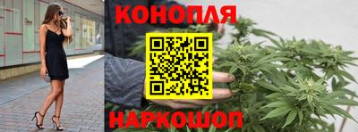 прущий лед Будённовск