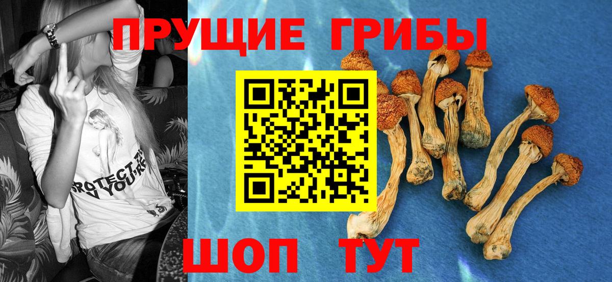 Псилоцибиновые грибы Psilocybine cubensis  Вход с VPN  Подольск 
