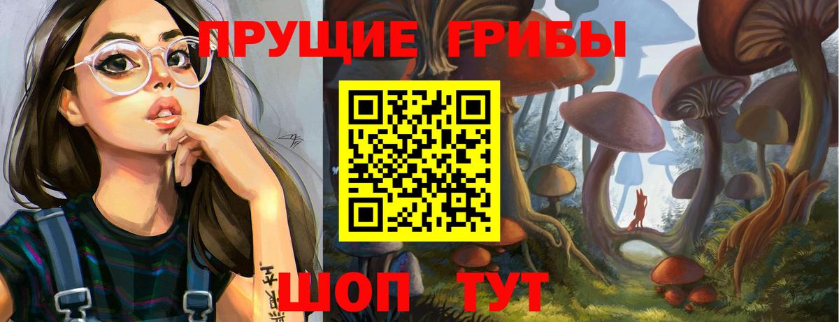 Галлюциногенные грибы Cubensis Подольск